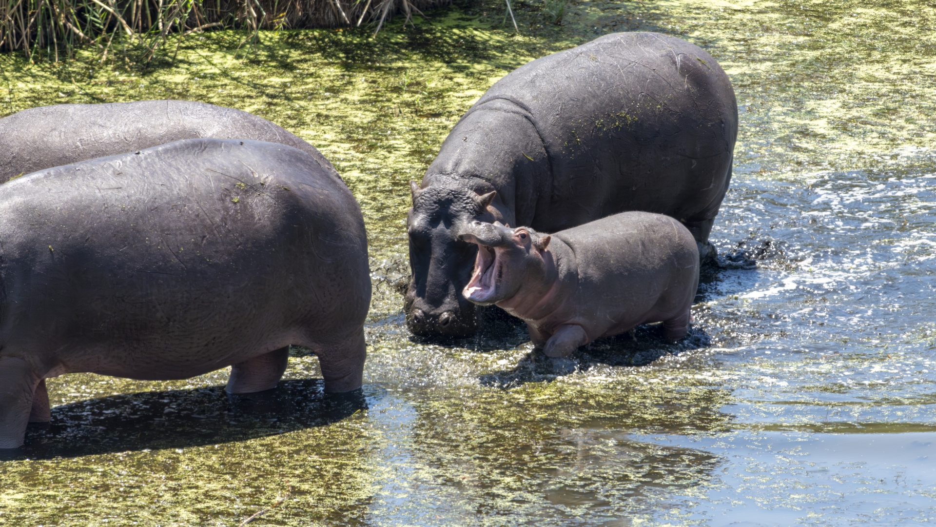 Kruger25 2025 11 01 10 52 07 ILCE 1M2 2843